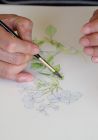 こだまみえこ作品展　リマージュボタニック～花の肖像画　ワークショップ