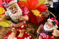  Hawaii X’mas songでで愉しむキッズ＆ベビーフラダンス