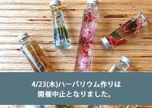 キラキラ輝くインテリア<br>ハーバリウム作り