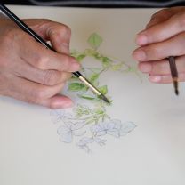 こだまみえこ作品展　リマージュボタニック～花の肖像画　ワークショップ